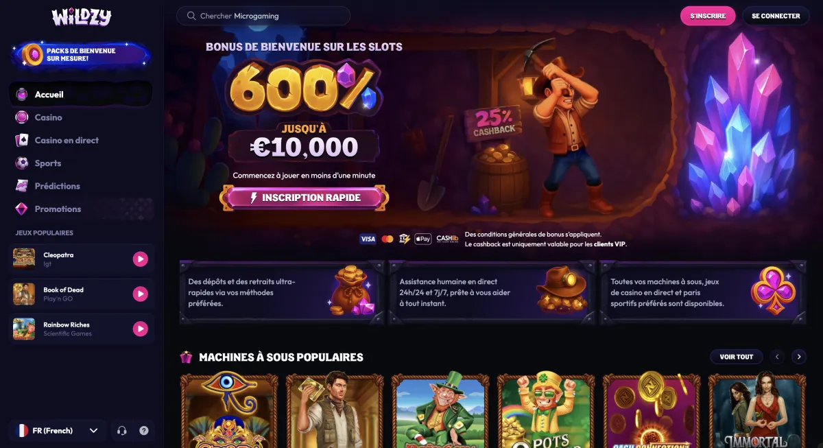 Capture d'écran du casino Wildzy - casino paypal n°1